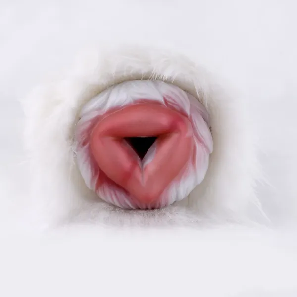 Explorando los Masturbadores de Silicona Suave Animal - Imagen 7