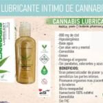 Discover the Benefits of CBD Pomada 100gr - Imagen 2